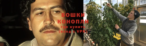 ALPHA PVP Покров
